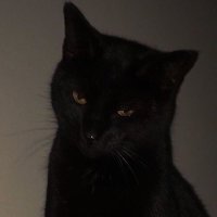 MT (@christopherinb_) 's Twitter Profile