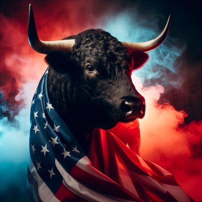 America First🇺🇸 Team47🇺🇸
Forward is the only direction....