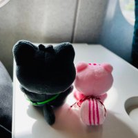 ใคใผใฟ๐ (@tsubomiwang) 's Twitter Profile Photo ใคใผใฟ๐ (@tsubomiwang) 's Twitter Profile Photo