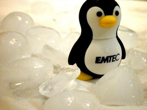 USBmemories's profile picture. Haz tu propio negocio, cómpralo para tí o regala algo útil, un USB! Más baratos que en cualquier otro lugar!!