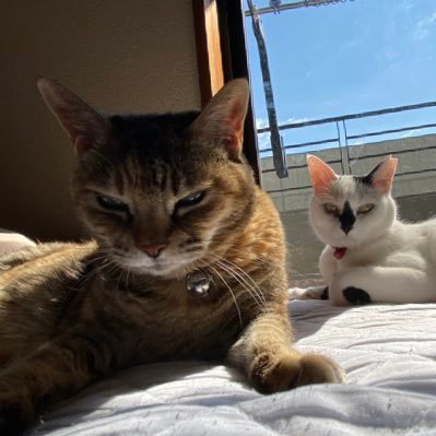 vu4vBfQtdq66516's profile picture. エロ垢不要 きもち悪いです    稼げますも必要ないです  ブロックします。