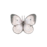 🗝️𝙶𝚑𝚘𝚜𝚝🧸 (@merryghostround) 's Twitter Profile