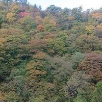 まかろん (@t_m_01019) 's Twitter Profile