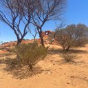 Patrick Self - @Sel91402Self - Twitter