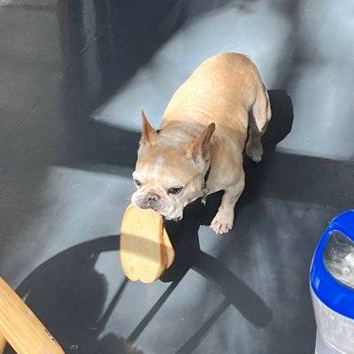 luddekw's profile picture. making pouches