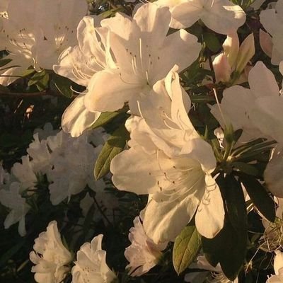 eyaさんのプロフィール画像