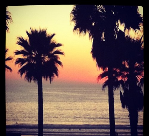 tayloralemke's profile picture. 