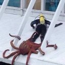 Aaron Dvorak - @MountainBlastR - Twitter