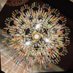 Helen Stickler (@helenstickler) Twitter profile photo Helen Stickler (@helenstickler) Twitter profile photo