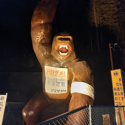 ninnin_volley's profile picture. バレーやゲーム、アイドル好き