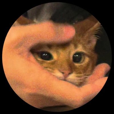 zarxvheis's profile picture. 