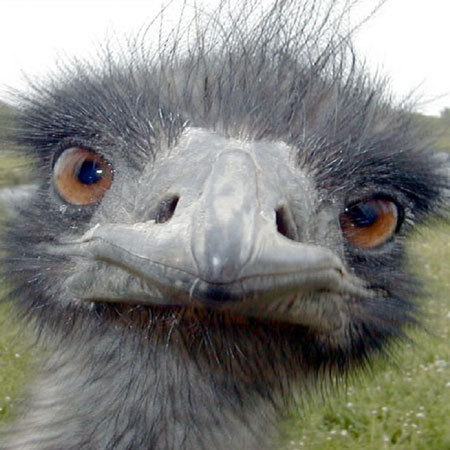 Java2_0's profile picture. Java 2.0, Java 2, Java, All Java 2.0