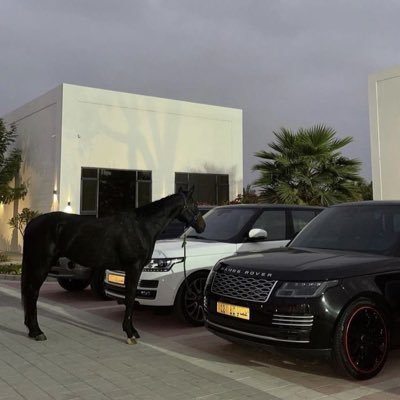 Hamil143's profile picture. 