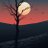 shay_2102's profile image