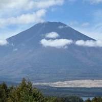 ピカ🌟 (@tsum1314) 's Twitter Profile