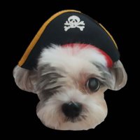Cap. Frodo da Buccaneer (@xochiptx) 's Twitter Profile