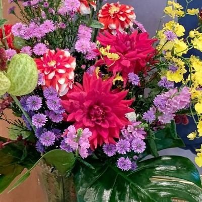 dariya216's profile picture. 家庭を愛し花が大好きな80代です。
家庭連合解散に反対❗
スパイ防止法に賛成❗