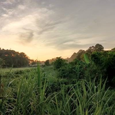 HahaHan77922's profile picture. 