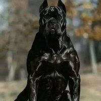 TTLLMM (@levynche54) 's Twitter Profile Photo TTLLMM (@levynche54) 's Twitter Profile Photo