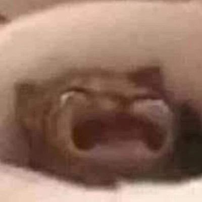 ZuraTughushi's profile picture. All opinions expressed are mine and do not necessarily reflect the views of any organization or company.