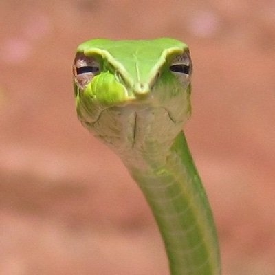Smells a little 🤢musky🤢 lately
- https://t.co/LXm6A274u6
- https://t.co/IR0xEEAhAN
USA = Ulcered Sphincter of Ass-erica