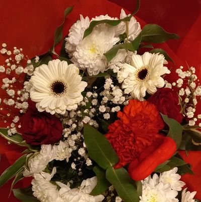 Imad19300's profile picture. حينما يكتمل وعي الإنسان و إدراكه للحياة،إما أن يعيش في الصمت إلى الأبد،أو أن يصبح ثائرًا في وجه كل شيء .