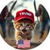BEARKATT (@bearkatt1465) Twitter profile photo BEARKATT (@bearkatt1465) Twitter profile photo