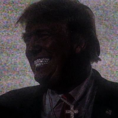 do_land__trump's profile picture. 