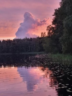 Kas kas