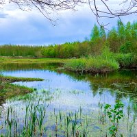 dewolden.info (@weblogdewolden) 's Twitter Profile Photo