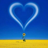 FranceBerrue.bsky.social 💙💛 (@berruefrance) 's Twitter Profile Photo FranceBerrue.bsky.social 💙💛 (@berruefrance) 's Twitter Profile Photo