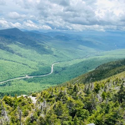 tayef1112's profile picture. Day Trader ! Technical Analysis ! Draw lines