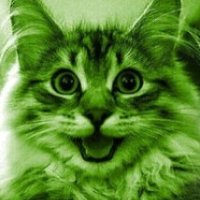 Orbitorious ⛋ (@davecollado17) 's Twitter Profile Photo Orbitorious ⛋ (@davecollado17) 's Twitter Profile Photo