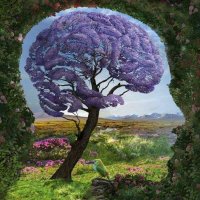 Toxana (@toxana) 's Twitter Profile