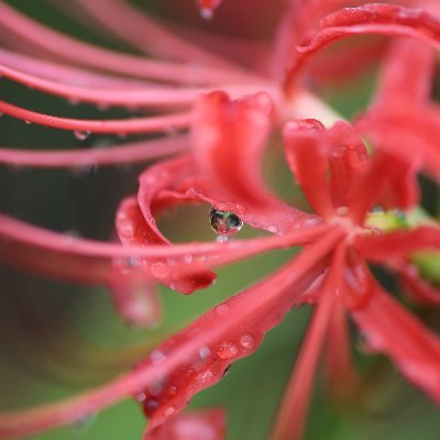 PhotoRestartt's profile picture. 趣味で写真を撮ってます。
フォローバックはあまりしないかもしれないです。