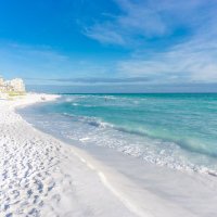 Alifromfl 🇺🇲☕ America First! (@alifromfl) 's Twitter Profile