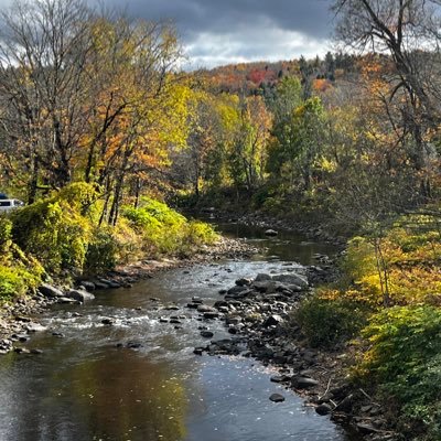 rk_dtom's profile picture. Just a Patriot 🚫DMs