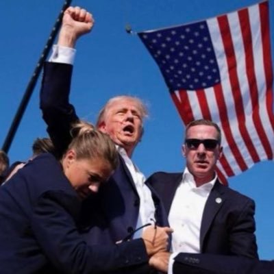 SandraM28934355's profile picture. 