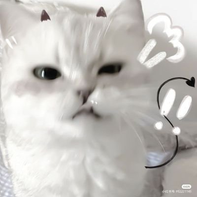 scxuv2's profile picture. 乗っ取られました