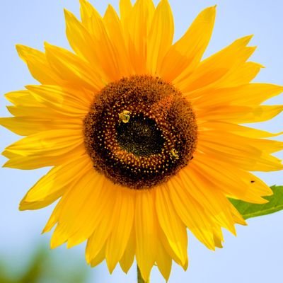 johndrewsmom's profile picture. Mom of four, Wife, Volunteer feeding people, Cranky old lady.