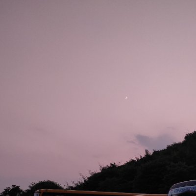 SIMRANR62060161's profile picture. 