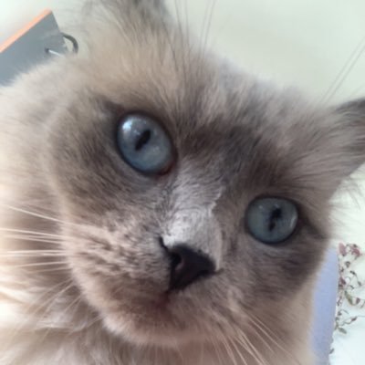 jlf2106's profile picture. 