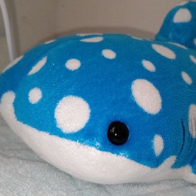 しいるさんのプロフィール画像