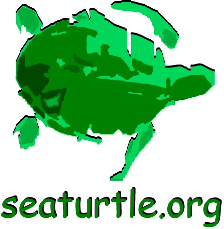 Sea Turtle Evangelist. Organizing the world's sea turtle information to make it universally accessible and useful.