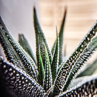 politicalPHILA's profile picture. Strategic Designer. Political Junkie. Philly Sports. Vote. https://t.co/8kWX45ZxMN 💙