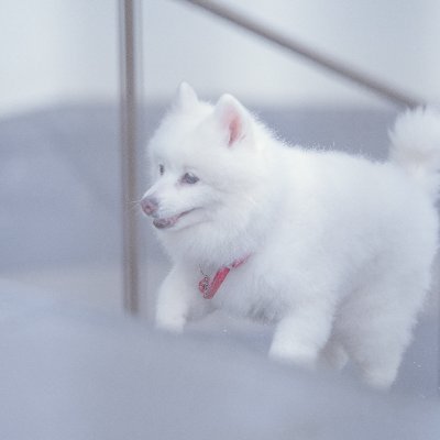 imiさんのプロフィール画像