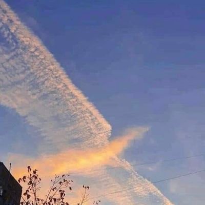 bb20428139's profile picture. ❌️🧖‍♂️❌️👶🔛🩸💰🩸🍽🇭🇰😷本人謹此聲明，絕對不會自殺。,🖐😷🖕小心假新聞,小心出入！！🗣🍲⬇️👀