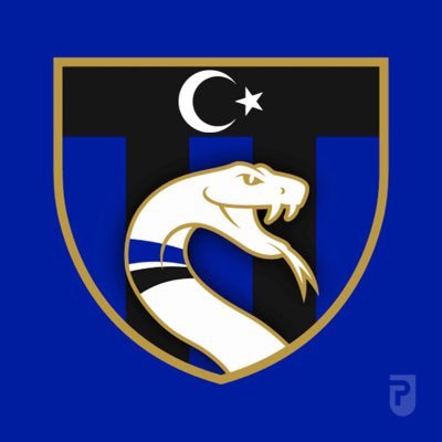 _InterTurkiye's profile picture. Internazionale Milano kulübünün Türkçe taraftar sayfasıdır. İlk ve resmi değil ama en iyisi! #Nerazzurri #FCIM 💙🖤