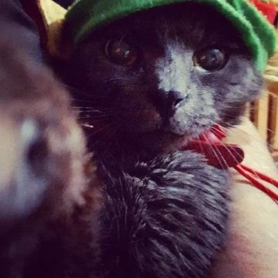 tiger_doge2022's profile picture. #Doge is life! driver hobbyist patriot free thinker