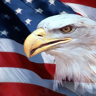 ilemtp's profile picture. 
